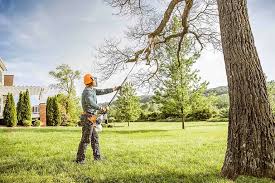 Best Lawn Mowing  in Yazoo City, MS