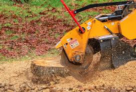 Best Lawn Watering Services  in Yazoo City, MS