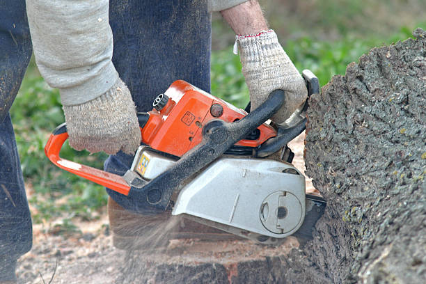 Soil Testing and Treatment in Yazoo City, MS